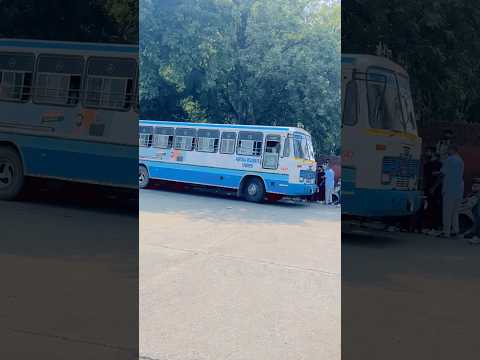 हरियाणा रोडवेज़ की पायल ☺️ #haryanaroadways #haryanvisong #trending #shorts