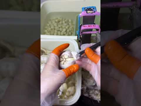 🔴Live stream的副本