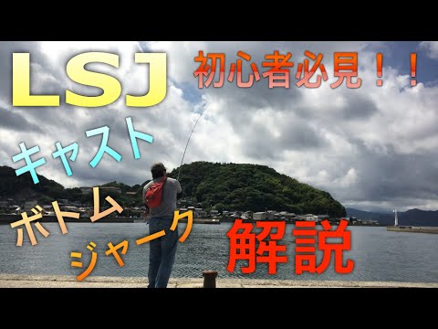 LSJ初心者必見！！ショアジギングの基本解説