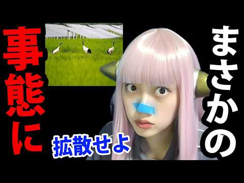 釧路湿原 メガソーラー 阻止 ！ 鶴居村 が 土地買収 で 大勝利 ？ タンチョウの危機回避する 村長 の 奇跡！
