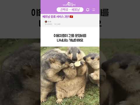 쓴 만큼 돈 내는 베트남 <strong>유료</strong> 서비스 2탄 #베트남여행 #베트남어