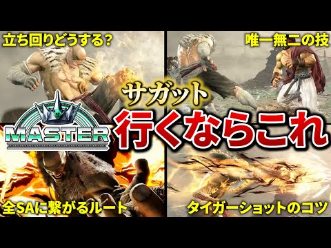 サガットの立ち回りから必須コンボまで！サガットの使い方解説【スト6】