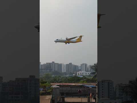 বিমানের চাকায় ঢুকে গেল শিয়াল#foryou #shorts #subscribe