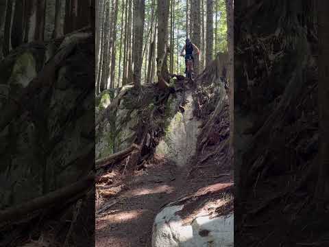 Rock Face to Head-On Tree Collision🌲💀