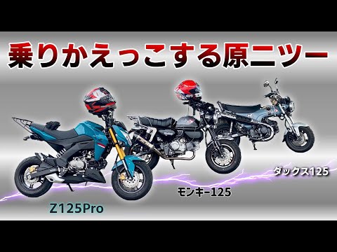 【慣らし無し】新車Z125Proとモンキー125とダックス125でローテーションしてみた【125ccバイク】