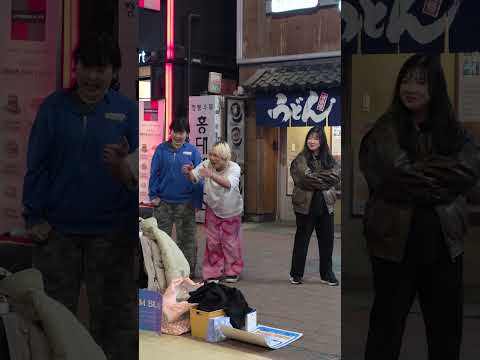 26.2.16 BLAST공연 걷고싶은거리 홍대버스킹 DANCETEAM BLAST(블라스트) by Bigstart