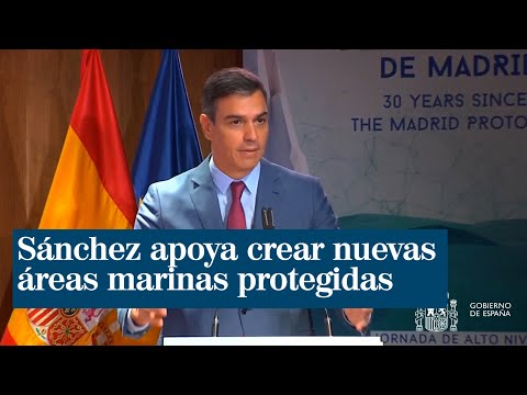 Sánchez apoya crear nuevas áreas marinas protegidas