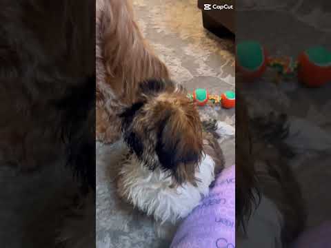 Why does this lowk match😭 #goviral #preppy #helpmemakethismakesense #skincare #funny #subscribe