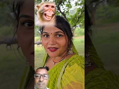 #youtube #shots #video #trending #shots #video #funny #shots #video #youtube #shots #video