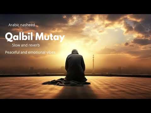 Qalbi Mutay (Slow + Reverb) | Ya Sayyidi Ya Muhammad | Emotional Arabic Nasheed