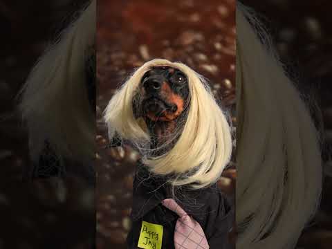 PUPPY JAY - ESPRESSO MACCHIATO (Eurovision 2025 Winner)