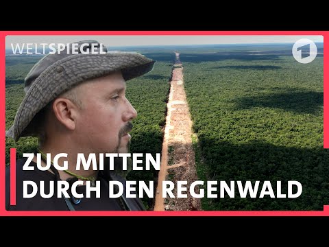 Umweltskandal in Mexiko? Zug durch den Regenwald