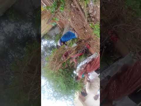 పిల్లల తల్లిని MRO ముందు చంపేస్తాను అని బెదిరిస్తూ ఉంటే MRO garu స్పందించిన తీరు చూడండి.#shorts