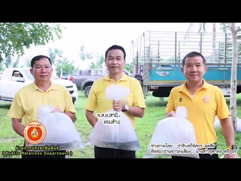 โครงการฟื้นฟูและเพิ่มผลผลิตทรั