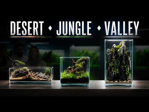 DOOA Neo Glass Air: These Tiny Terrariums Need Almost No Maintenance