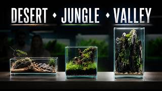 Thumbnail for the video "DOOA Neo Glass Air: These Tiny Terrariums Need Almost No Maintenance" from Green Aqua