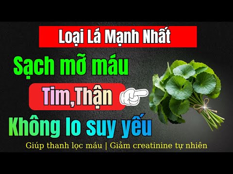 7 loại lá giúp LÀM SẠCH MỠ MÁU, Không phải thuốc, nhưng giúp bạn đi ngủ với mạch máu nhẹ hơn