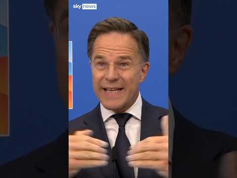 'NATO has no business in Ukraine'