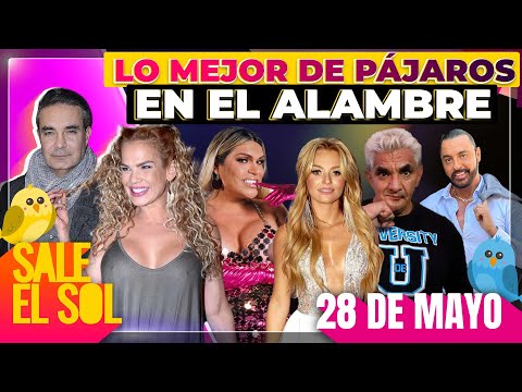 Mauricio Islas, Niurka, Irina Baeva, Arturo Carmona | Lo Mejor de Pájaros en el Alambre 28/05/24