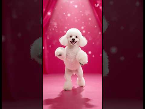 Funny puppies dancing motorcycle 🏍️ #shorts #viral #dog #funny