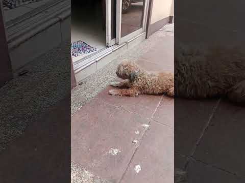 may nakita syang ipis🤭