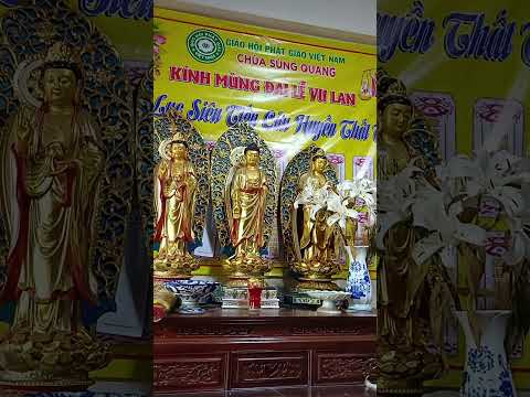 chùa Phổ An,Rạch Kiến Cần Giuộc, #nhachaymoingay #travel #loiphatday