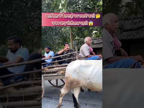 बैलगाड़ी पर सवारी करते नजर आए मोतीलाल महतो🥰||#motilalmahato #villagelife #jairam #jharkhand #shorts