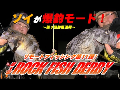 ソイの釣果が急増！第４回ロックフィッシュダービー！第３回釣果速報