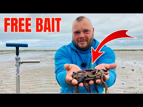 HOW TO PUMP WORMS FOR SEA FISHING❗️
