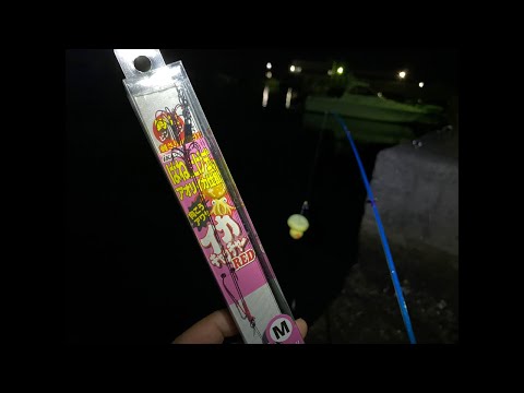 【配信】イカを【釣る】ぞ