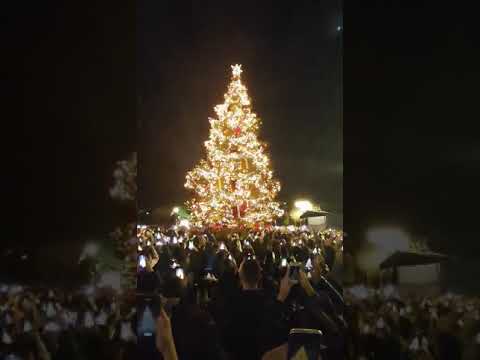 Η αντίστροφη μέτρηση για τη φωταγώγηση του χριστουγεννιάτικου δέντρου στο Σύνταγμα | CNN Greece
