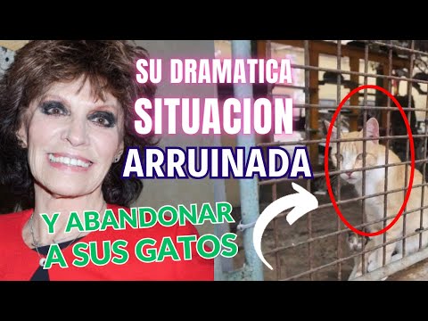 La DRAMÁTICA SITUACIÓN de ENCARNITA POLO a sus 85 años ARRUINADA y OBLIGADA a DEJAR a sus dos GATOS