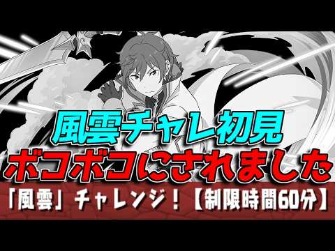 【風雲チャレ】初見をラインハルトで挑んだ結果……【パズドラ】