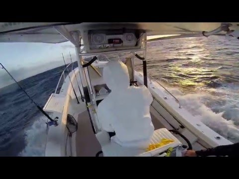 26 Albemarle in rough seas Palm Beach Inlet, Jupiter