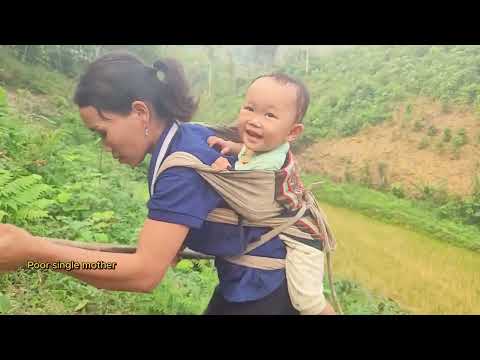 Full video 200 days  difficulties and the journey of building a bamboo house of a  single mother