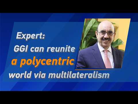 Expert: Global Governance Initiative can make world whole again