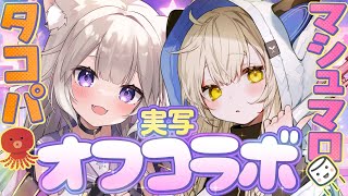 【実写オフコラボ】春茶とニウでたこ焼きパーティ＆マシュマロ返答 /  camera stream【カメラ】【夜絆ニウ / NeoPorte 
