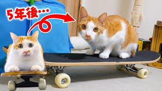 動画サムネイル