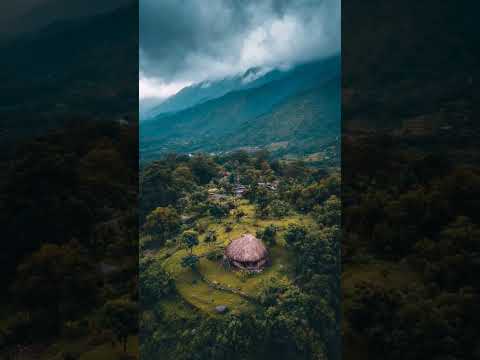 Beautiful View 🪟 🍄🟫 Nature #nature #beautiful #shortsfeed