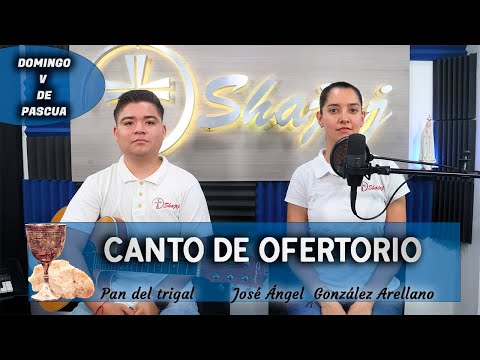 CANTO DE OFERTORIO PARA V DOMINGO DE PASCUA   | SHAJAJ Ministerio