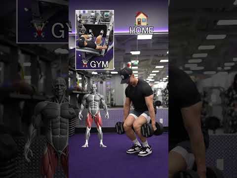 Home vs Gym (Dumbbells ONLY!)