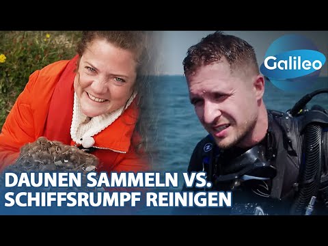 Stadt, Land, Held: Vincent Dehler vs. Maike Greine