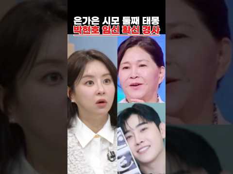 은가은 시모 둘째 태몽 박현호 임신 확신 <strong>경사</strong>