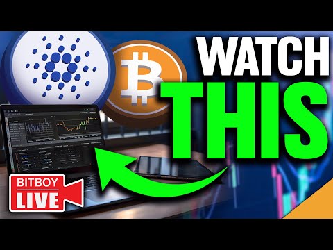 Bitcoin REVERSAL! (Important Cardano Metrics To Watch)