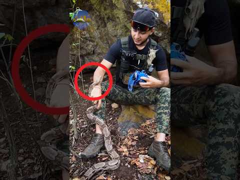 حركة بسيطه تنقذك من اي ثعبان ..!!