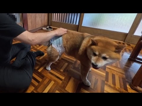 変身！パンツマン！