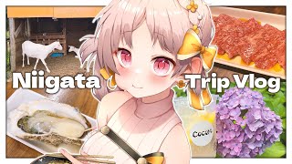【#休日vlog】💐Niigata Trip Vlog💐まったり新潟旅【Vlog Vtuber 日常 リアル 旅ログ Trip 旅】