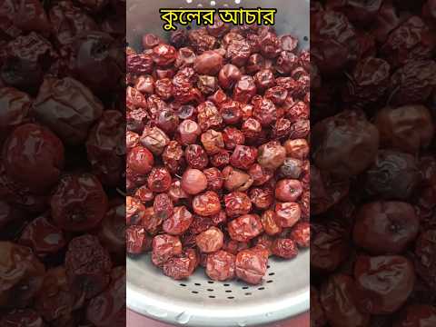 কুলের আচার ||Kuler Achar recipe||#sorts #kulerachaar #recipe