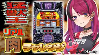 【#縦型配信  】あの名作に挑む‼猛獣王～王者の咆哮～でメダルを大量Getせよ‼　#猛獣王【#パチスロ 】#shorts