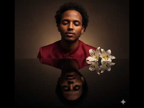 The light of the Qur